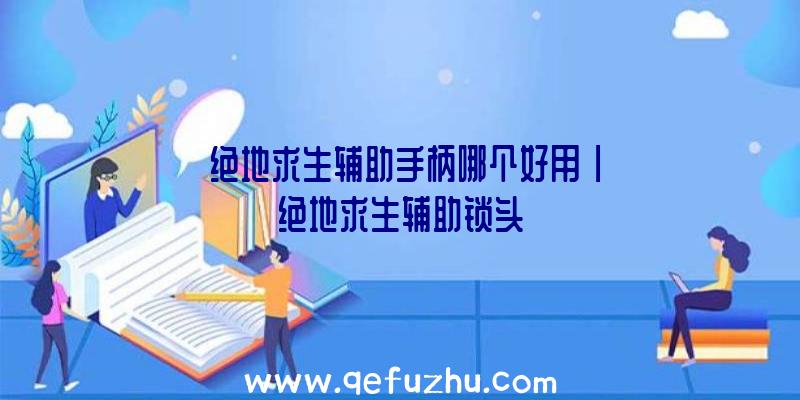 「绝地求生辅助手柄哪个好用」|绝地求生辅助锁头